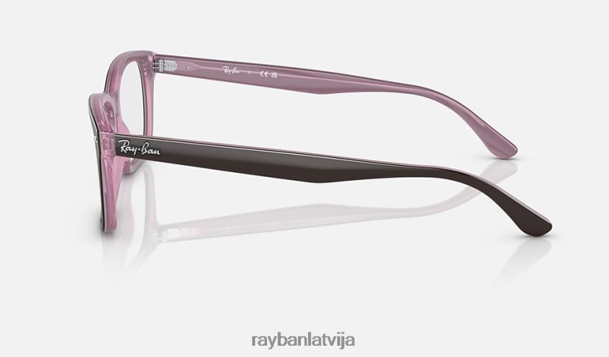 rb5428 optika pulēta brūna uz rozā F0L86X1850 vīriešiem Ray-Ban brilles