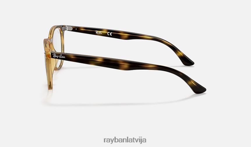 rb7159 optika pulēta havana F0L86X1675 vīriešiem Ray-Ban brilles