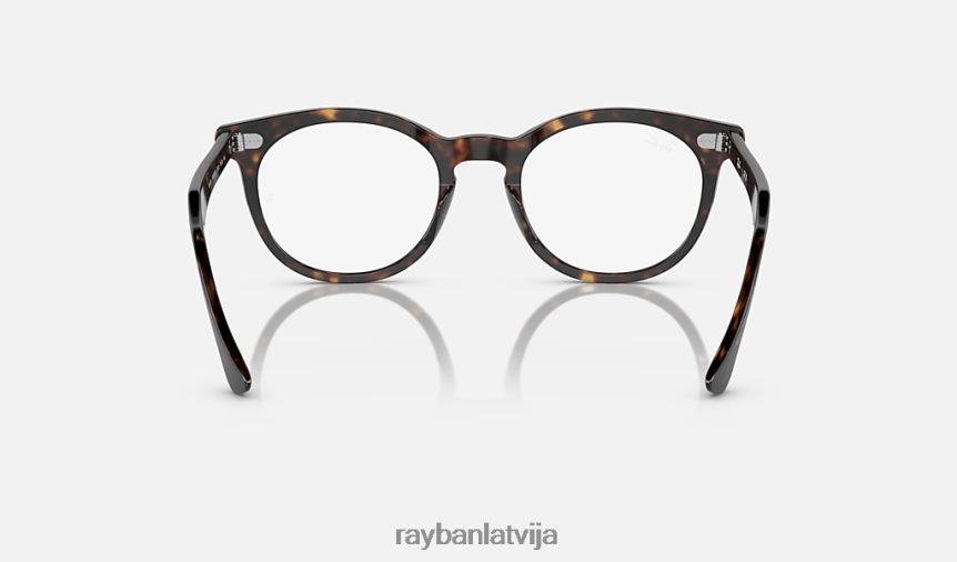 ērgļa acu optika pulēta havana F0L86X1684 vīriešiem Ray-Ban brilles