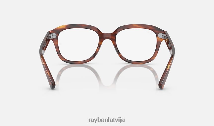 Ērika optika pulēta svītraina havana F0L86X1697 vīriešiem Ray-Ban brilles