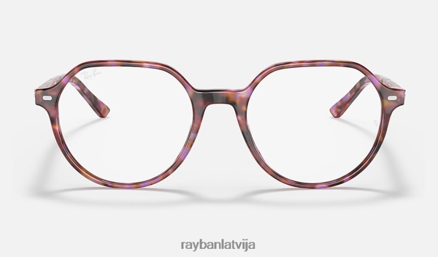 thalia optika pulēta brūna/violeta havana F0L86X1663 vīriešiem Ray-Ban brilles