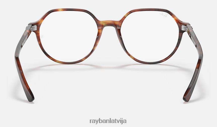 thalia optika pulēta svītraina havana F0L86X1664 vīriešiem Ray-Ban brilles