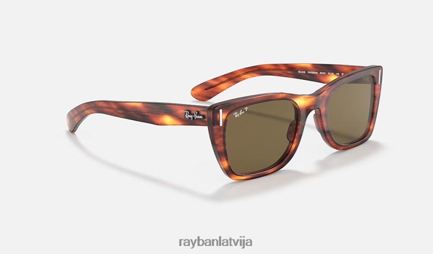 Karību jūras reģionā pulēta svītraina havana/brūna F0L86X412 vīriešiem Ray-Ban saulesbrilles