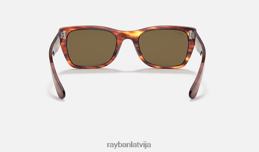Karību jūras reģionā pulēta svītraina havana/brūna F0L86X412 vīriešiem Ray-Ban saulesbrilles