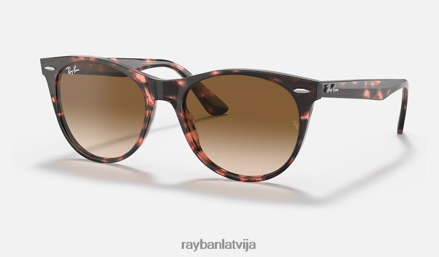 ceļinieks ii plankums pulēta rozā havana/gaiši brūna F0L86X1228 vīriešiem Ray-Ban saulesbrilles