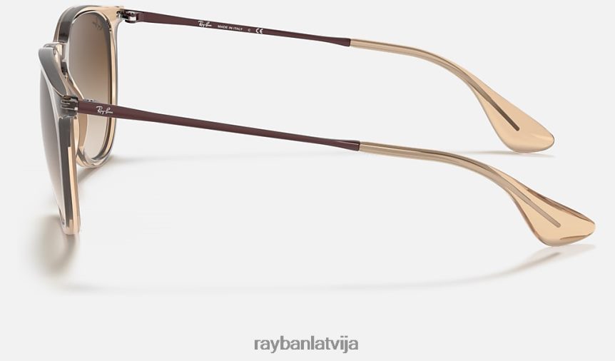erika krāsu maisījums pulēta caurspīdīga brūna/brūna F0L86X436 vīriešiem Ray-Ban saulesbrilles