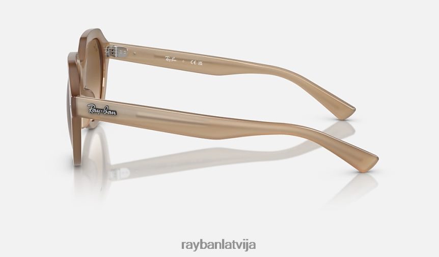 gina pulēts bruņurupucis/brūns F0L86X384 vīriešiem Ray-Ban saulesbrilles