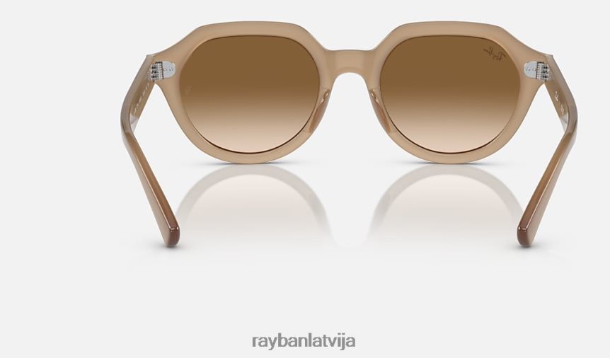 gina pulēts bruņurupucis/brūns F0L86X384 vīriešiem Ray-Ban saulesbrilles