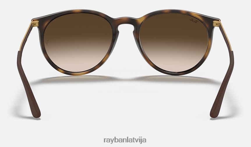 rb4274 matēts havana/brūns F0L86X761 vīriešiem Ray-Ban saulesbrilles