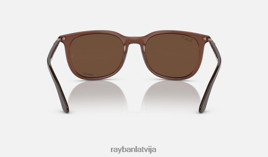 rb4386 pulēta caurspīdīga brūna/brūna F0L86X1493 vīriešiem Ray-Ban saulesbrilles