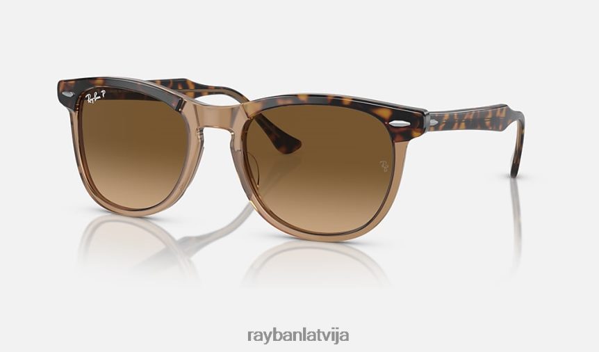 ērgļa acs pulēta havana uz caurspīdīgas brūnas/brūnas krāsas F0L86X249 vīriešiem Ray-Ban saulesbrilles